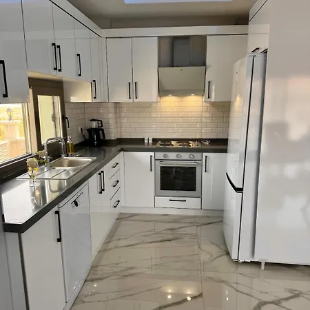 Mert Ayvalik New And Modern Villa *